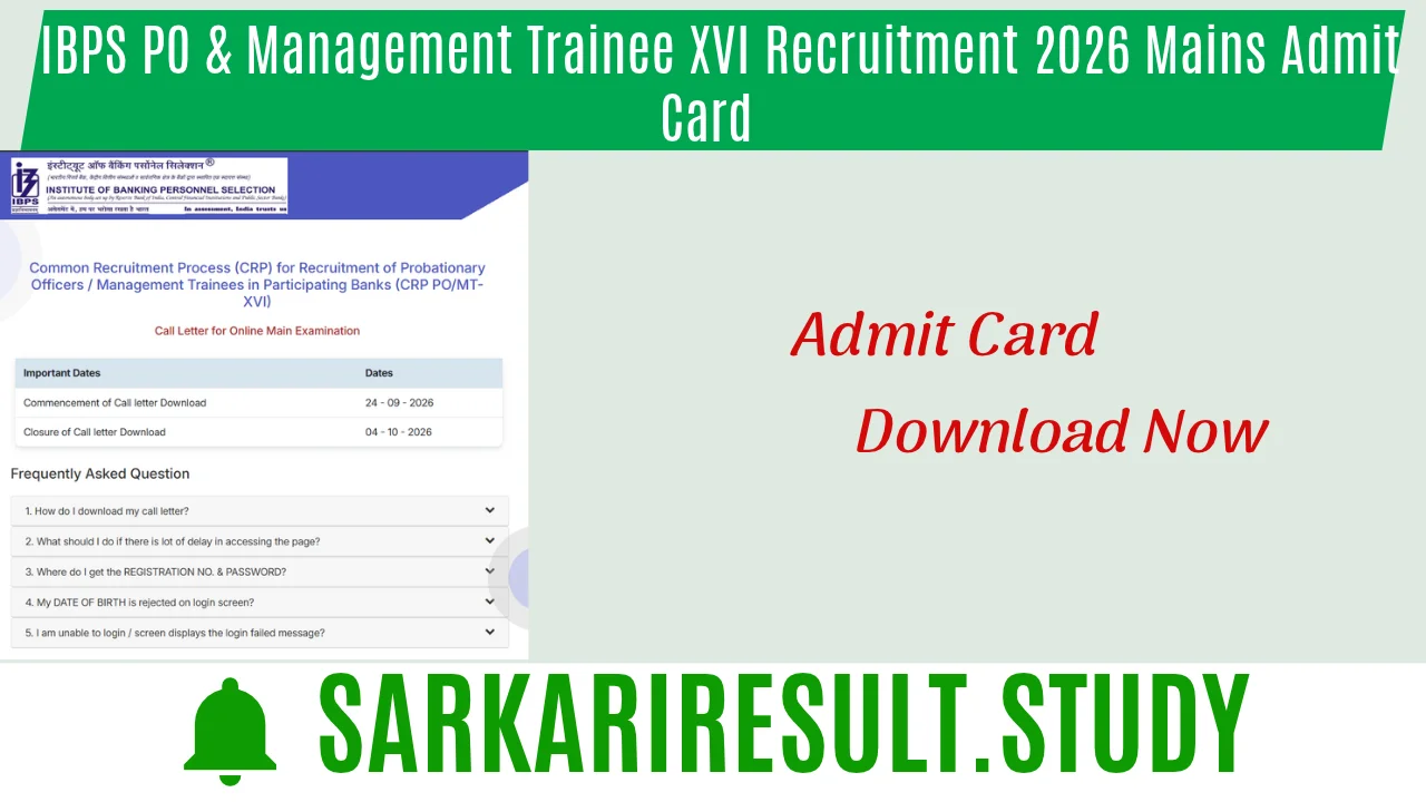  IBPS PO & Management Trainee XVI Recruitment 2026 Mains Admit Card 