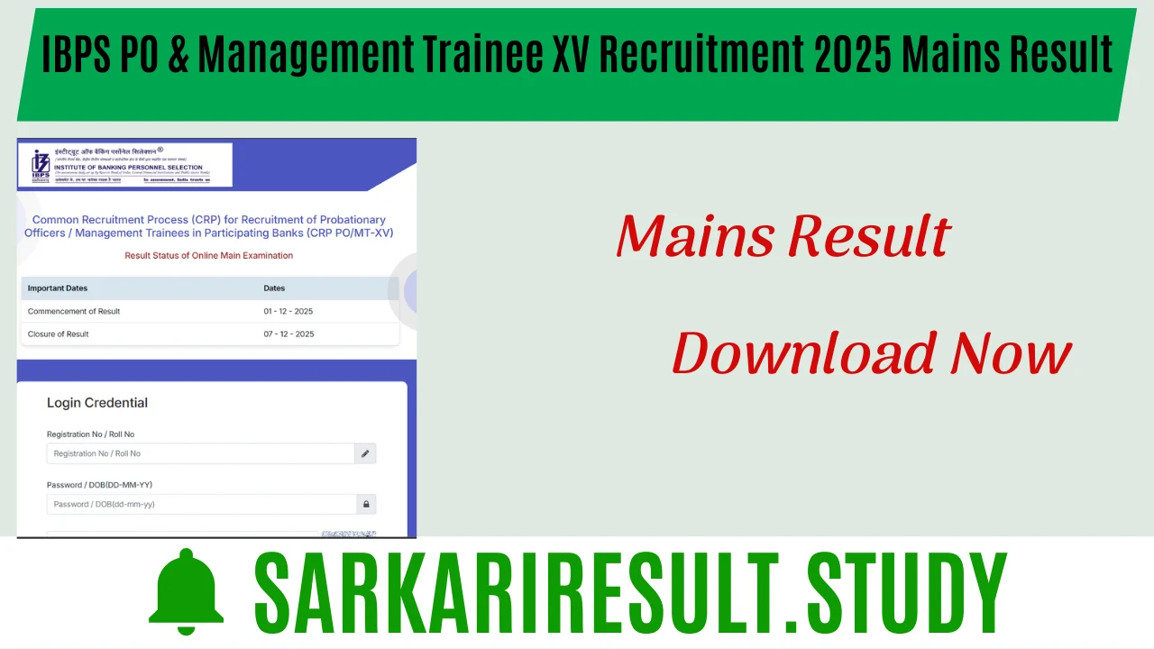 IBPS PO & Management Trainee XV Recruitment 2025 Mains Result