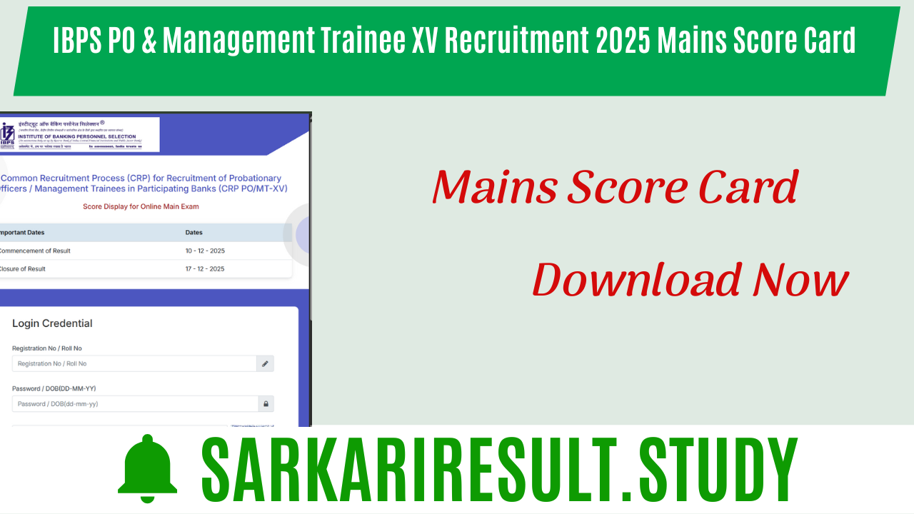 IBPS PO & Management Trainee XV Recruitment 2025 Mains Score Card 