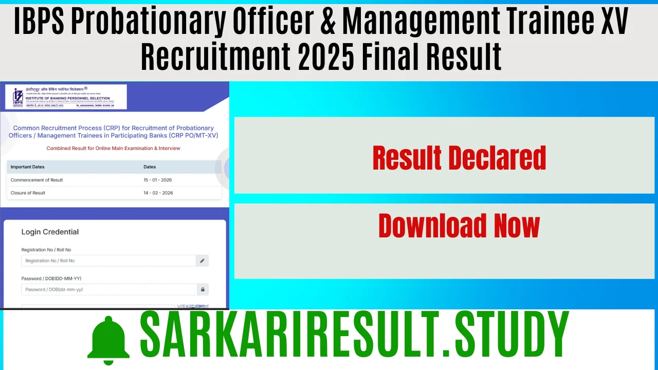 IBPS PO & Management Trainee XV Recruitment 2025 Final Result