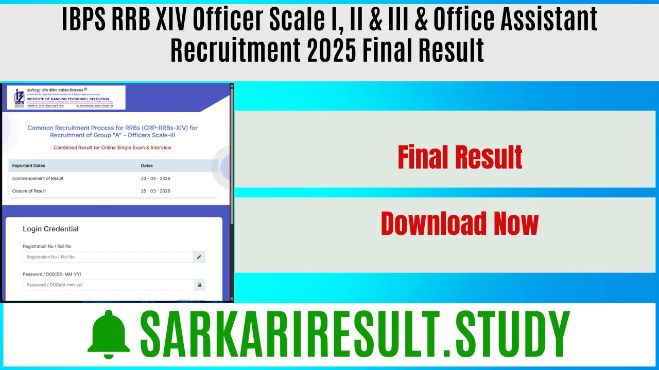 IBPS RRB XIV Officer Scale I, II & III & Office Assistant Recruitment 2025 Final Result 