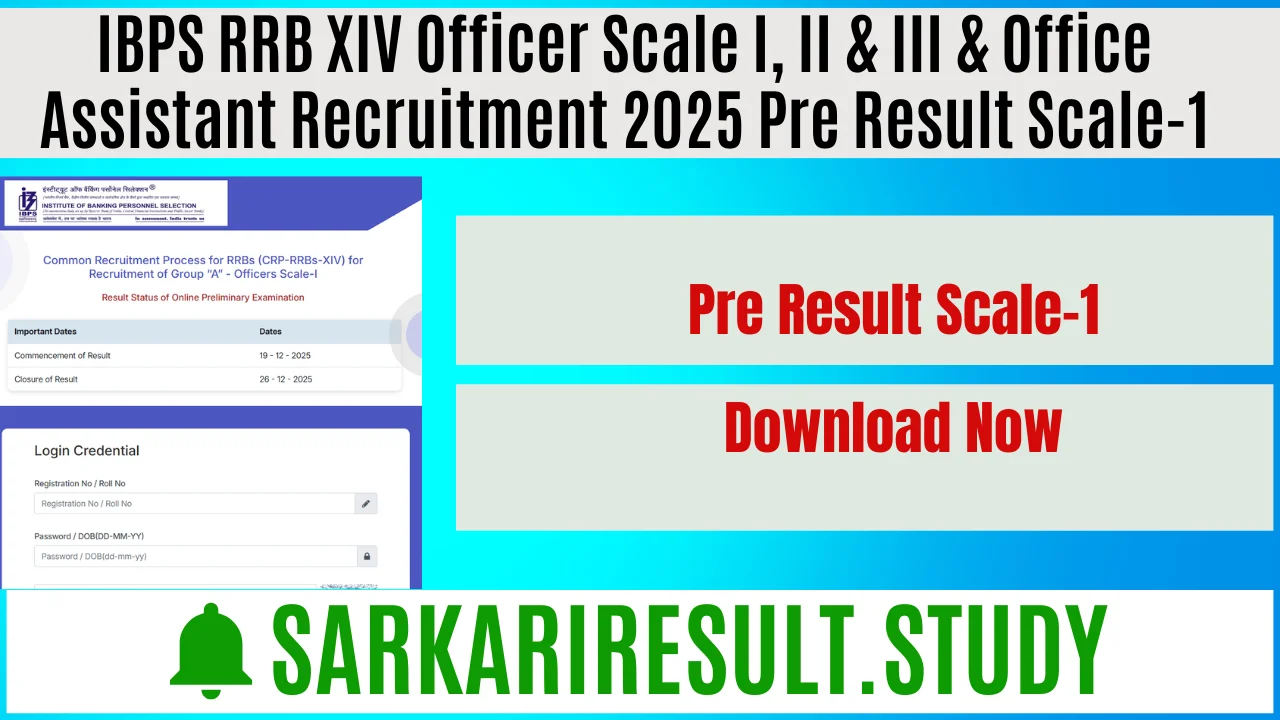 IBPS RRB XIV Officer Scale I, II & III & Office Assistant Recruitment 2025 Pre Result Scale-1