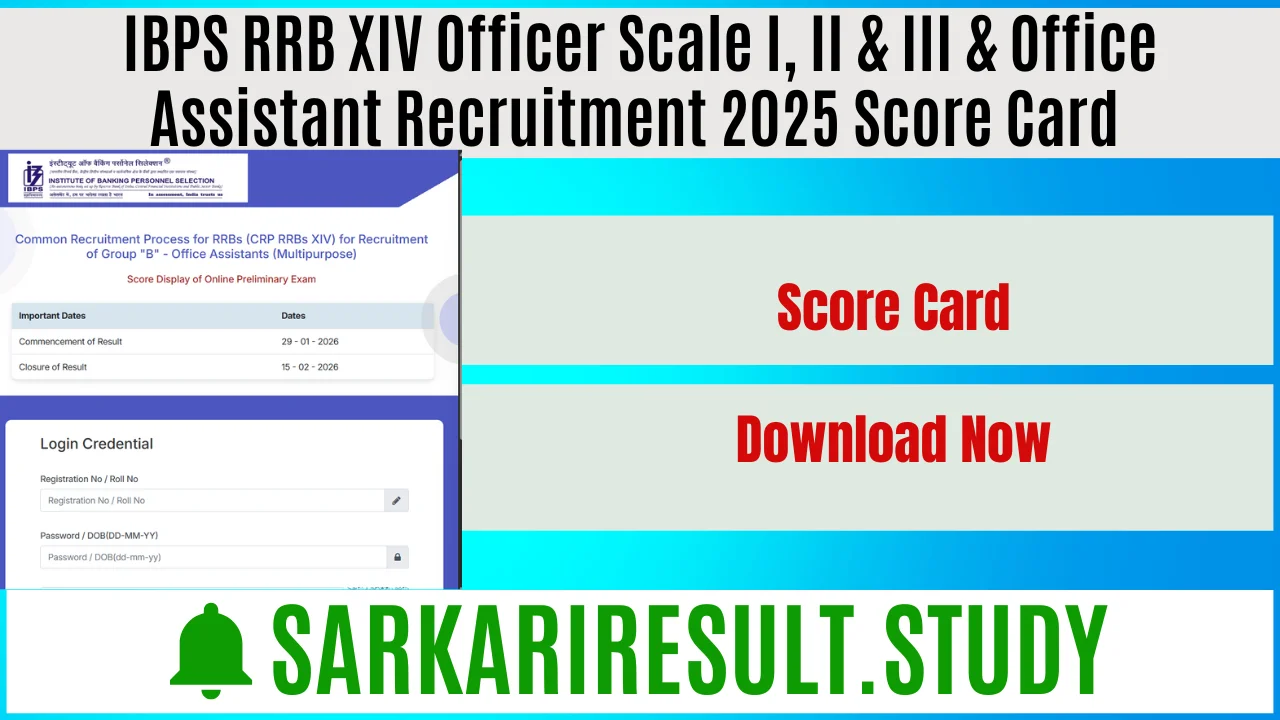 IBPS RRB XIV Officer Scale I, II & III & Office Assistant Recruitment 2025 Score Card 