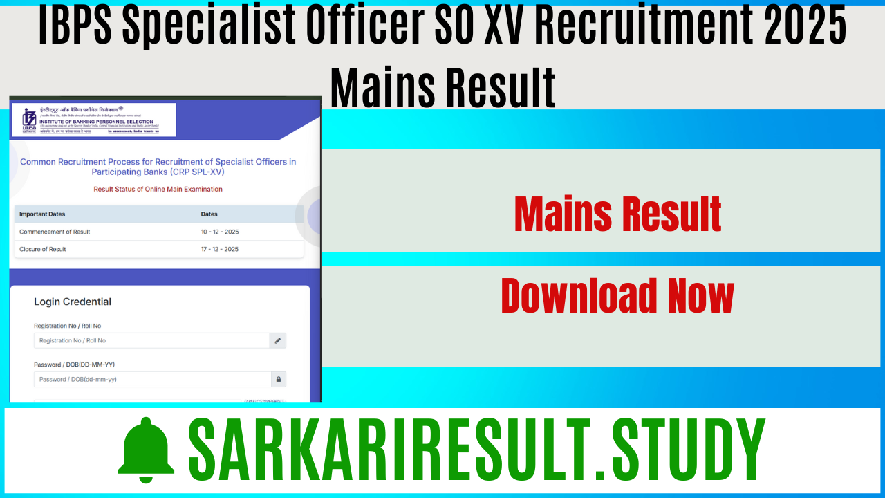 IBPS Specialist Officer SO XV Recruitment 2025 Mains Result