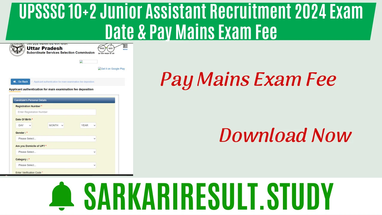UPSSSC 10+2 Junior Assistant Recruitment 2024 Exam Date & Pay Mains Exam Fee
